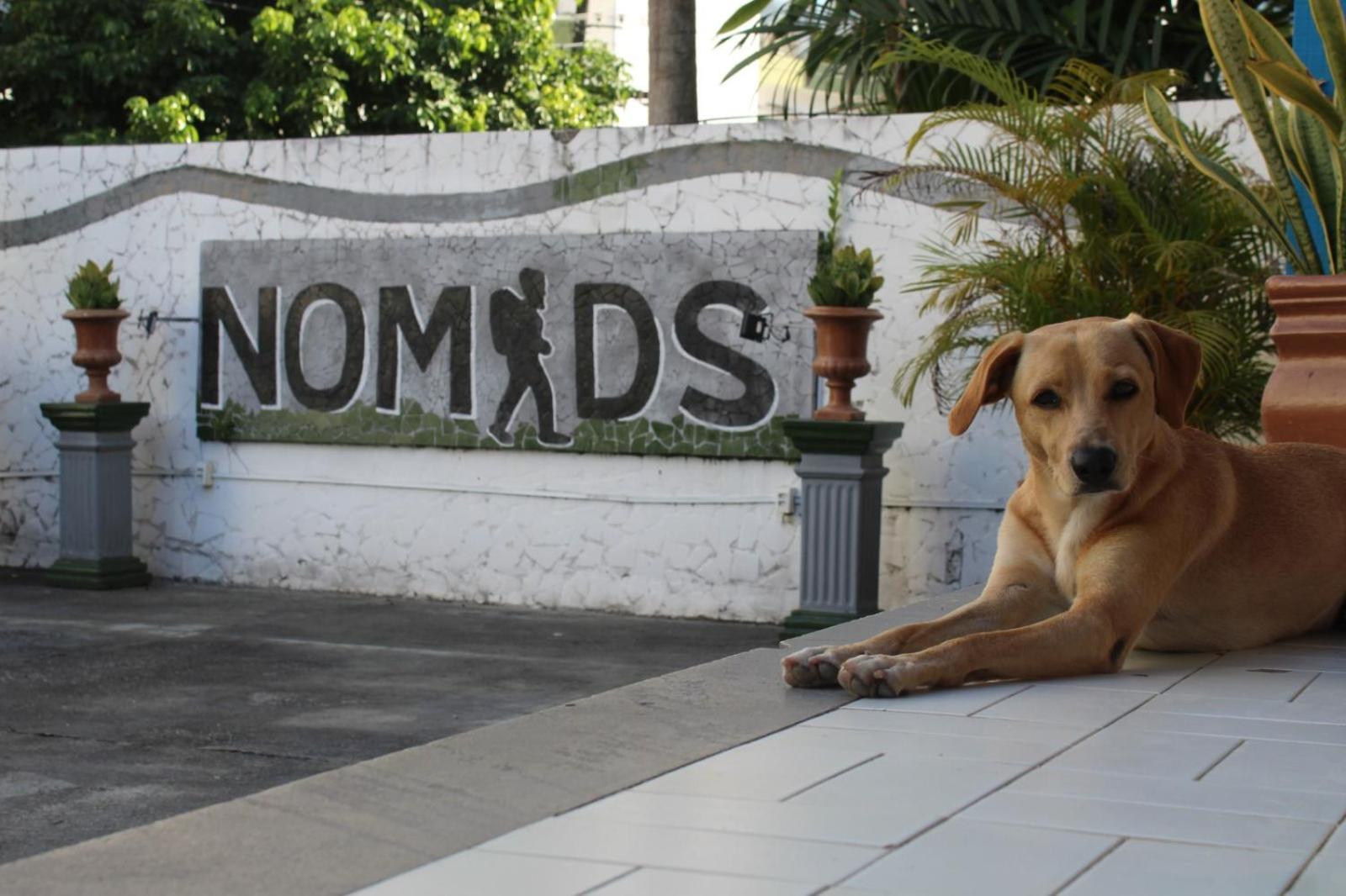 Nomads Hostel Multicultural & Coworking Salvador Extérieur photo