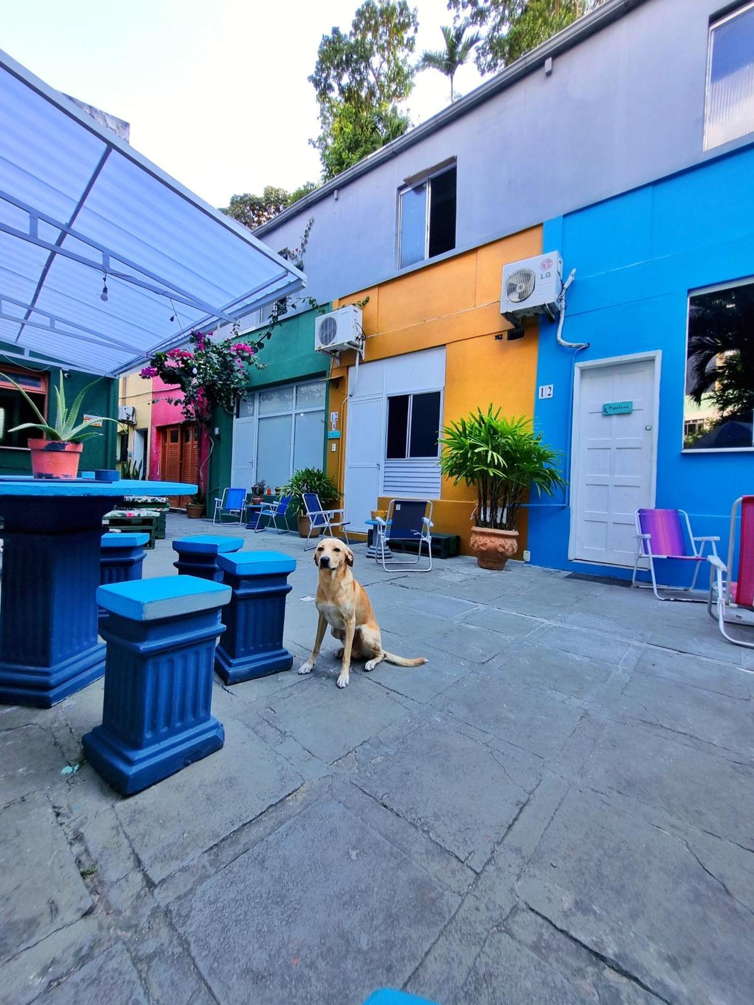 Nomads Hostel Multicultural & Coworking Salvador Extérieur photo